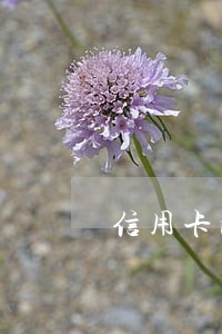 信用卡晚还款多长时间算逾期 信用卡晚还款多长时间算逾期
