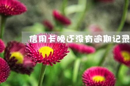 信用卡晚还没有逾期记录 信用卡晚还没有逾期记录