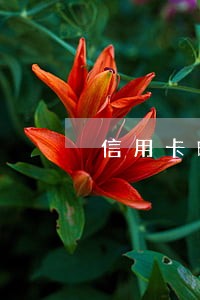 信用卡晚还逾期利息 信用卡晚还逾期利息