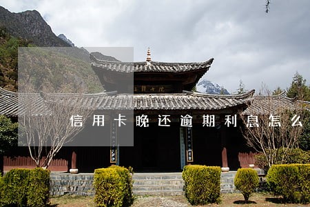 信用卡晚还逾期利息怎么计算 信用卡晚还逾期利息怎么计算