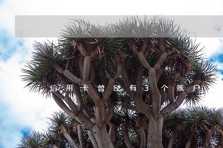 信用卡曾经有3个账户逾期记录 信用卡曾经有3个账户逾期记录