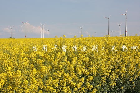 信用卡曾经逾期9天影响购房吗 信用卡曾经逾期9天影响购房吗