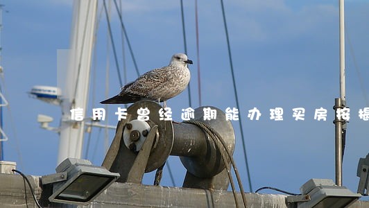 信用卡曾经逾期能办理买房按揭吗 信用卡曾经逾期能办理买房按揭吗
