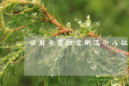 信用卡曾经逾期过个人征信