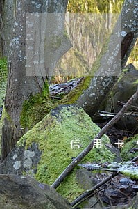 信用卡曾逾期10年还能网贷吗 信用卡曾逾期10年还能网贷吗