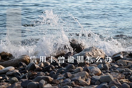 信用卡曾逾期怎么办 信用卡曾逾期怎么办