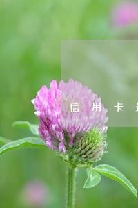 信用卡最低款了还会逾期吗 信用卡最低款了还会逾期吗