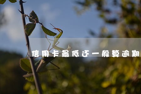 信用卡最低还一般算逾期么 信用卡最低还一般算逾期么