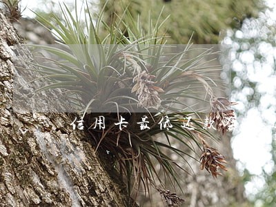 信用卡最低还款会算逾期么 信用卡最低还款会算逾期么
