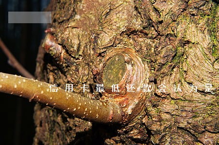 信用卡最低还款会认为是逾期么 信用卡最低还款会认为是逾期么