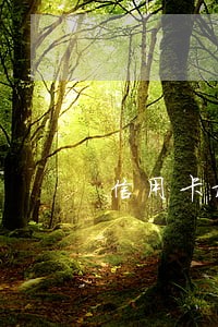 信用卡最低还款后还算逾期吗 信用卡最低还款后还算逾期吗