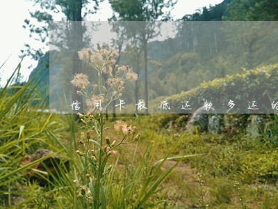 信用卡最低还款多还的算逾期吗