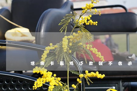 信用卡最低还款就不会逾期 信用卡最低还款就不会逾期