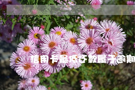 信用卡最低还款属于逾期 信用卡最低还款属于逾期