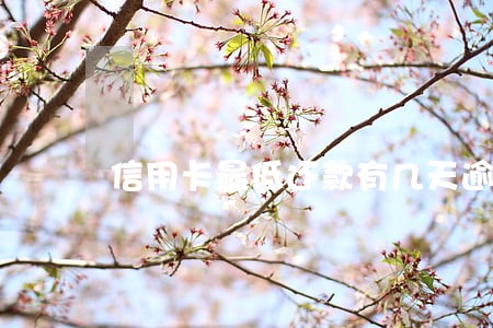 信用卡最低还款有几天逾期 信用卡最低还款有几天逾期