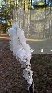 信用卡最低还款没有逾期 信用卡最低还款没有逾期