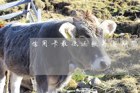 信用卡最低还款算逾期嘛