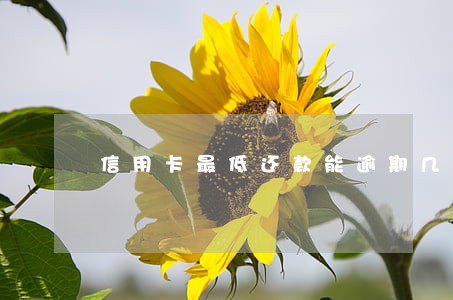 信用卡最低还款能逾期几天 信用卡最低还款能逾期几天