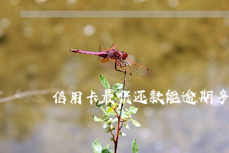 信用卡最低还款能逾期多久 信用卡最低还款能逾期多久