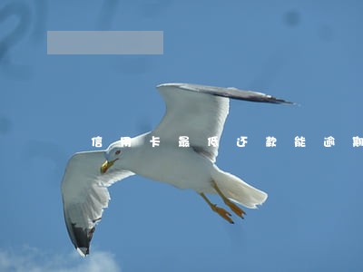 信用卡最低还款能逾期多少 信用卡最低还款能逾期多少