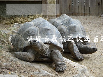 信用卡最低还款还后还会逾期吗 信用卡最低还款还后还会逾期吗