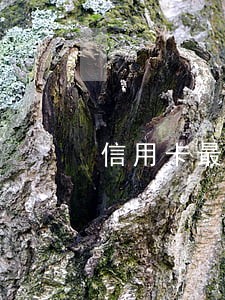 信用卡最低还款还显示逾期 信用卡最低还款还显示逾期