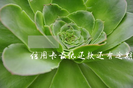 信用卡最低还款还有逾期 信用卡最低还款还有逾期