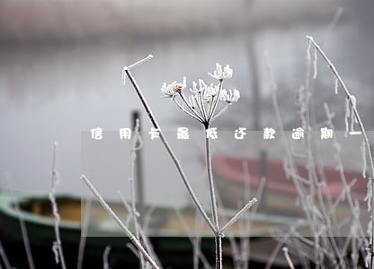 信用卡最低还款逾期一次的影响