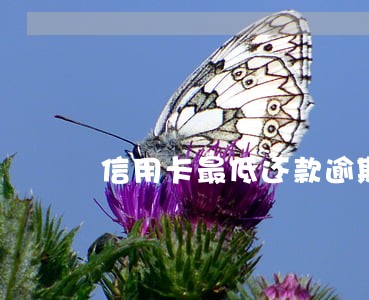 信用卡最低还款逾期七天 信用卡最低还款逾期七天
