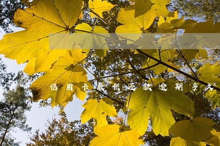信用卡最低还款逾期多久上征信