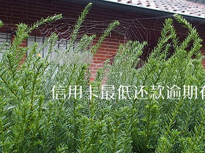 信用卡最低还款逾期有影响吗 信用卡最低还款逾期有影响吗