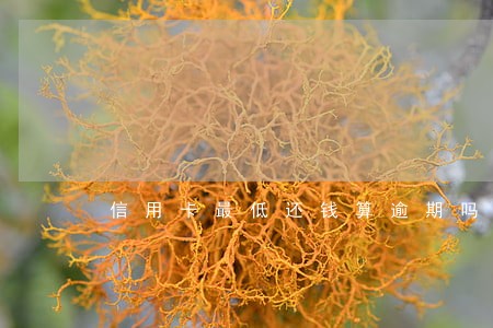 信用卡最低还钱算逾期吗 信用卡最低还钱算逾期吗