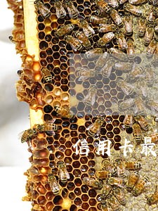 信用卡最低逾期后还上 信用卡最低逾期后还上