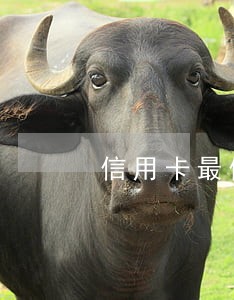 信用卡最低逾期多长时间 信用卡最低逾期多长时间