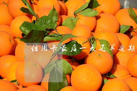 信用卡最后一天还算逾期吗 信用卡最后一天还算逾期吗