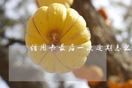 信用卡最后一次逾期怎么查
