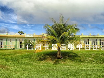 信用卡最后账单日还款算逾期吗 信用卡最后账单日还款算逾期吗