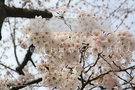 信用卡最后还款日后几天算逾期 信用卡最后还款日后几天算逾期