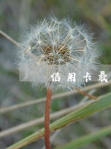 信用卡最后还款日是逾期吗 信用卡最后还款日是逾期吗