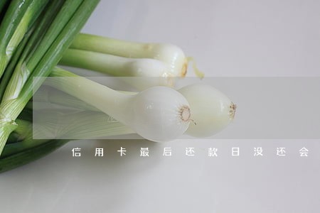 信用卡最后还款日没还会被逾期吗 信用卡最后还款日没还会被逾期吗