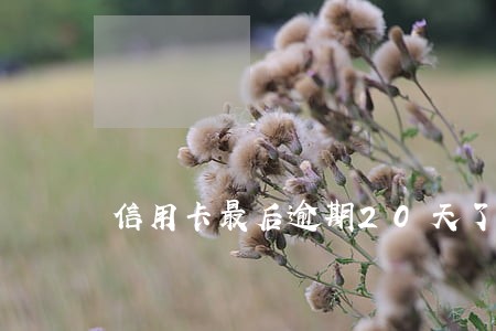 信用卡最后逾期20天了 信用卡最后逾期20天了