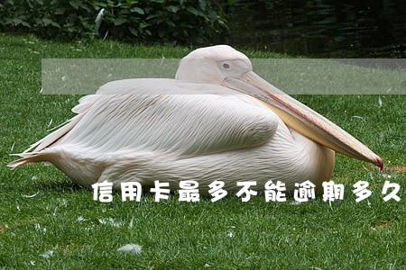 信用卡最多不能逾期多久 信用卡最多不能逾期多久