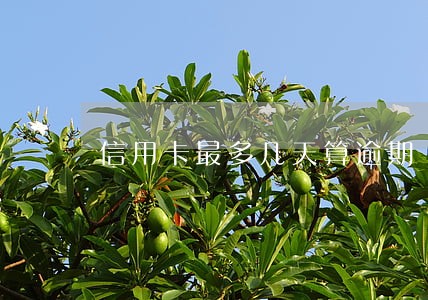 信用卡最多几天算逾期