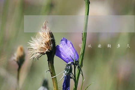 信用卡最多可以逾期多久不还