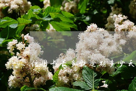 信用卡最多能逾期多少天