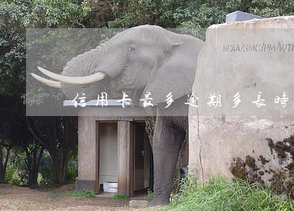 信用卡最多逾期多长时间 信用卡最多逾期多长时间