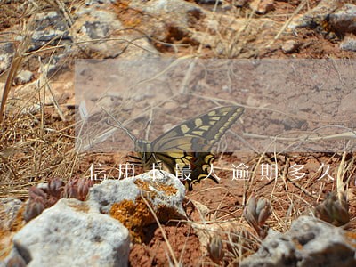 信用卡最大逾期多久 信用卡最大逾期多久