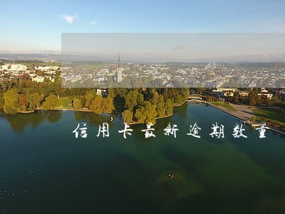 信用卡最新逾期数量