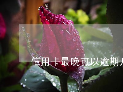 信用卡最晚可以逾期几天 信用卡最晚可以逾期几天