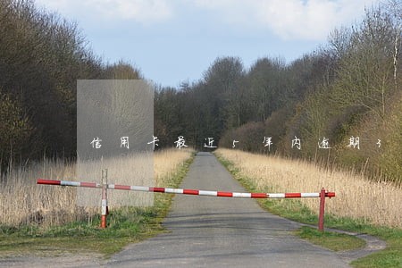 信用卡最近5年内逾期3次